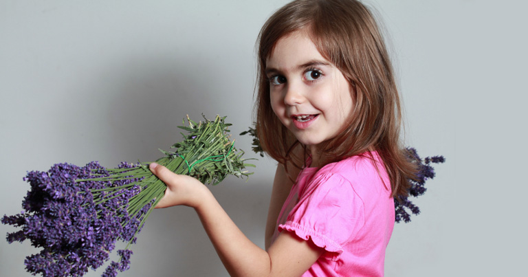 Historia de la lavanda